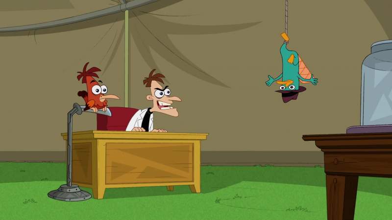 Welcome Perry the Platypus