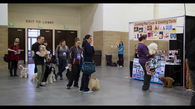 Welcome to the Salon Freestyle class tournament