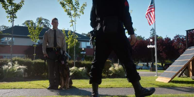 Welcome to the tryouts for this year's K9 academy