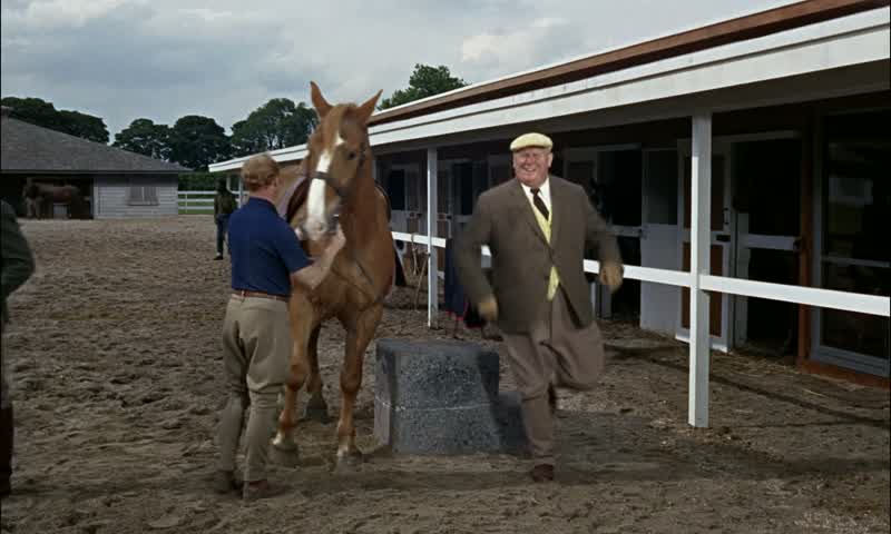 Welcome to Auric Stud, Mr