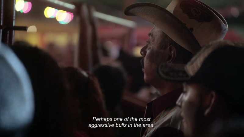 Welcome to this jaripeo that we brought you tonight!