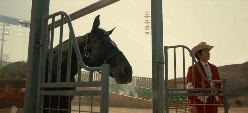 Welcome to the Star Lasso Experience
