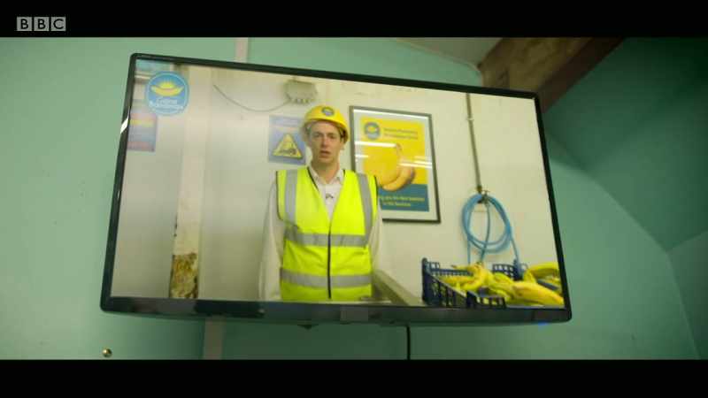 Welcome to your new job at Gone Bananas