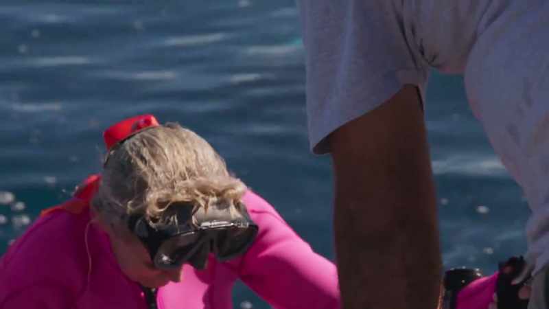 Well, a shark hit me. I hope they got it