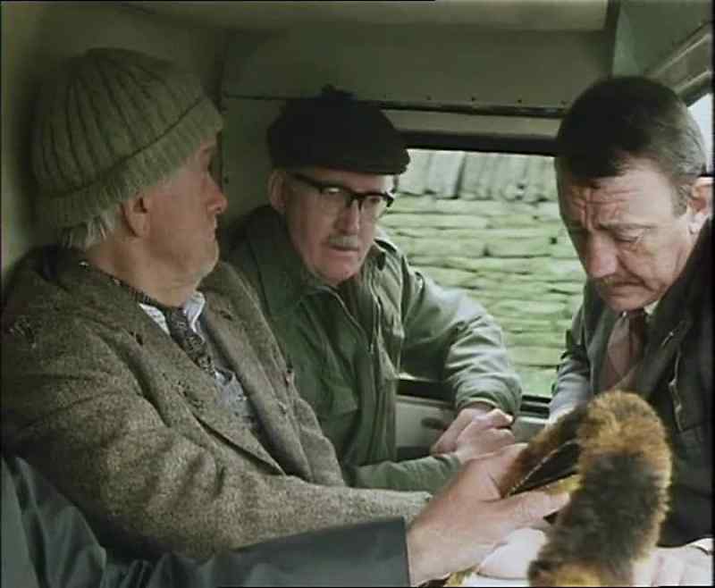 Well, come on, put your foot down, open it up a bit!