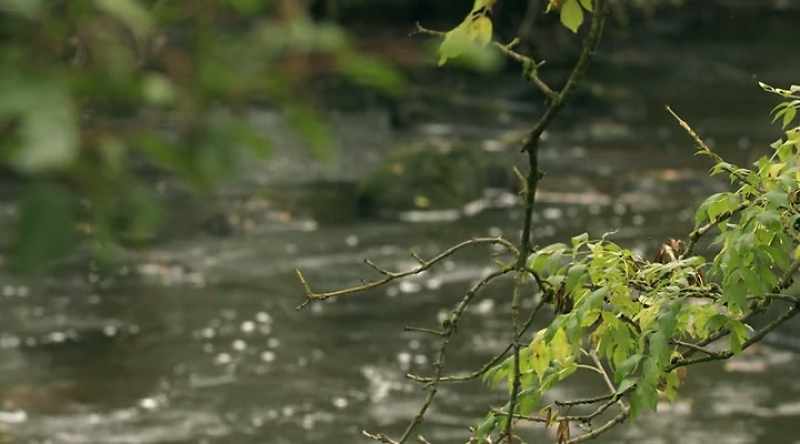 We'll discover historic Killaloe