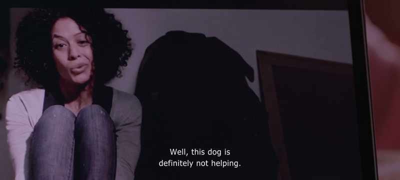 Well, this dog doesn't help at all