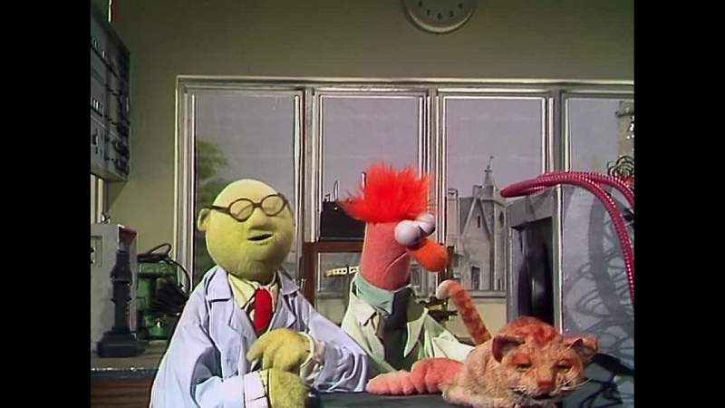 Well Dr Bunsen Honeydew