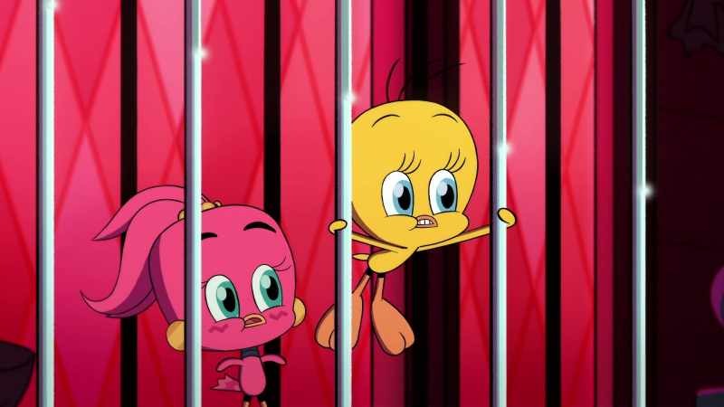 We'll explain later! Just get us outta here!