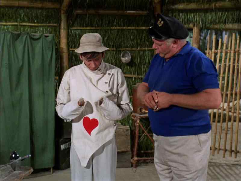 WELL, GILLIGAN, MR. HOWELL'S PARTNER