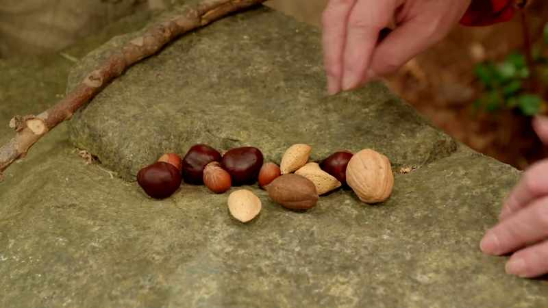 Well, we got hazelnuts and almonds