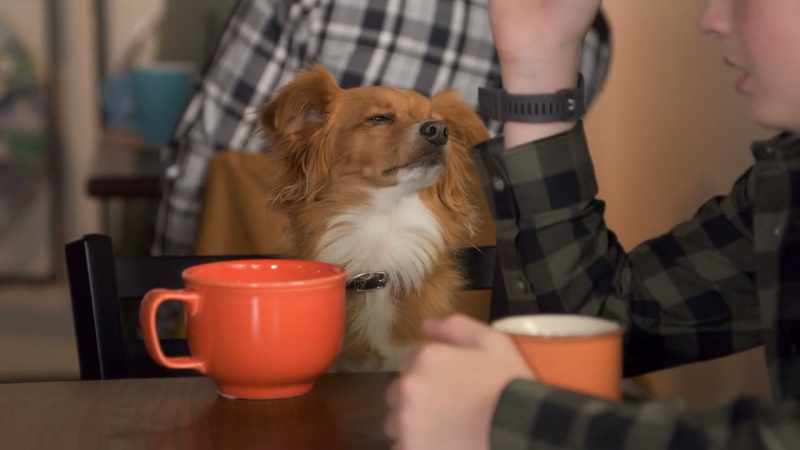 Well, your hand did fly across the cafe, so, yeah