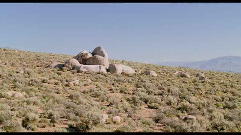 We'll have to make a run for those rocks