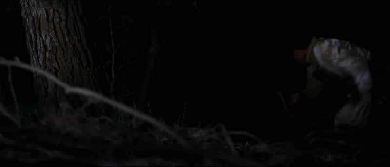 Well hell it ain't square oneAin't no one gonna pick up3 filthy unshaved hitchhikersAnd one of them a know it allwho can't keep his trap shutPete the personal rancor reflected in that remarkI don't