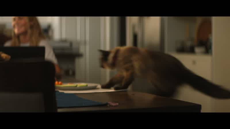 Well, hello, Lasagna