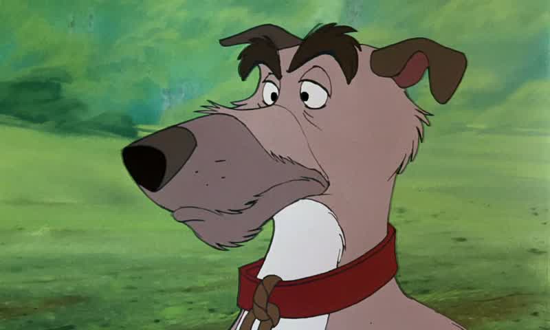 Well, how's this for a huntin' dog?