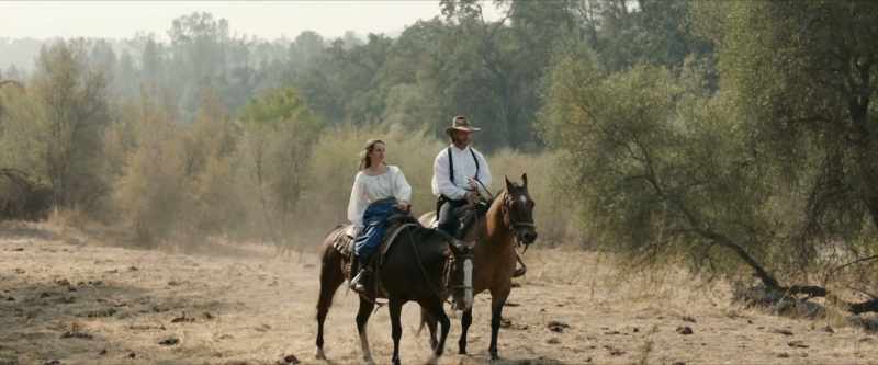 Well, I am good with horses
