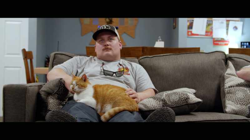 Well, I've never really been around cats, never owned one