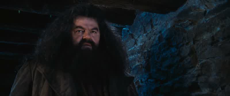 Well, Just Harry, did you ever make anything happen?