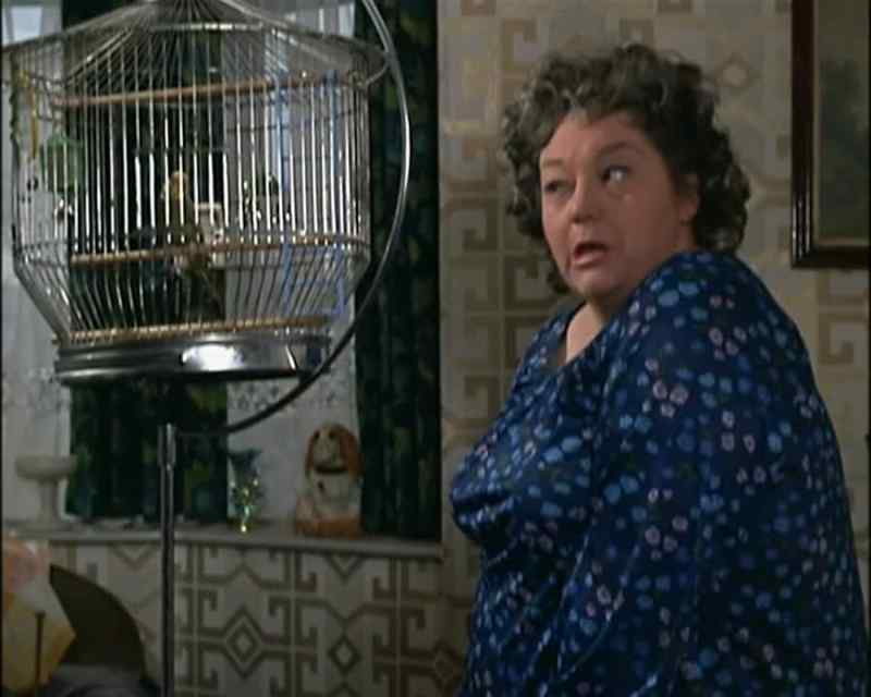 Well we know Joey's a he bird don't we Cock
