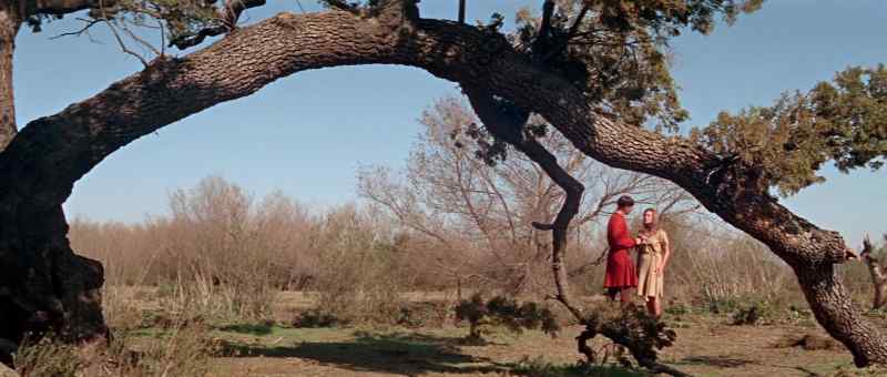 We'll lie under that tree