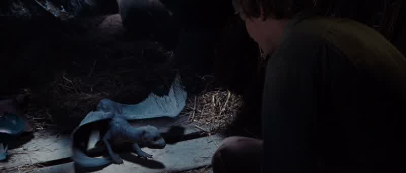 Well, look at you