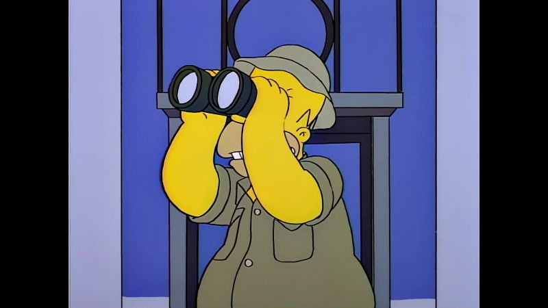 Well, Mr. Cat Burglar