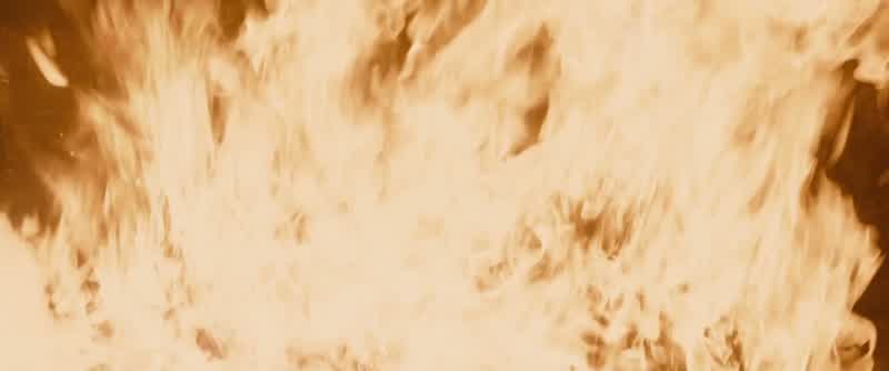 Well, Renesmee's nothing like those children