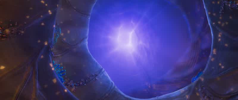 Well Tamatoa hasn't always been this glamI was a drab little crab onceNow I know I can be happy as a clamBecause I'm beautiful baby