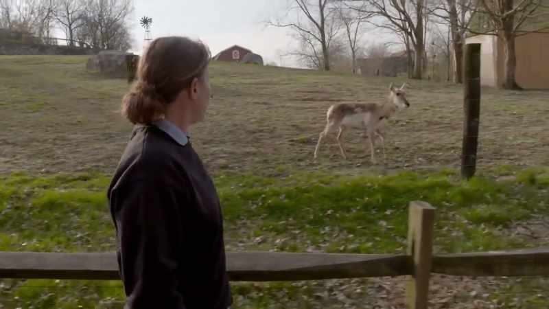 Well, that's banjo, and that's beth