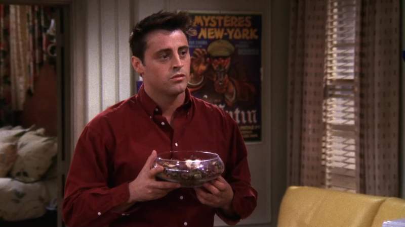 Well that's like summer in a bowl
