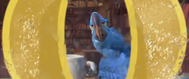 Well well if it isn't my favorite nerd birdVery funny Real matureHey pet Where you migrating to this yearThe breakfast nookThrow all the snowballs you wantl'm protected by this magical force field