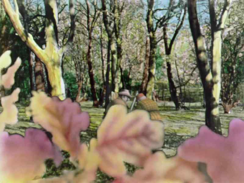 Well, what do you think?