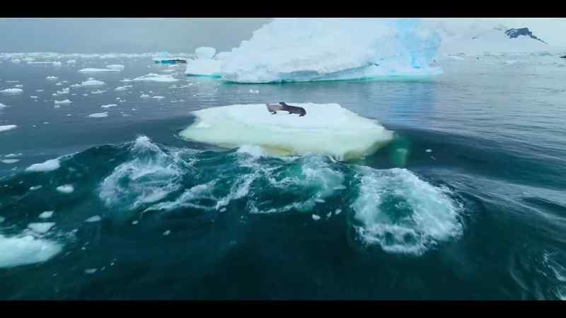 We'll witness incredible ways to survive