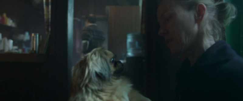 Well, you can be my chaperone. Oh!