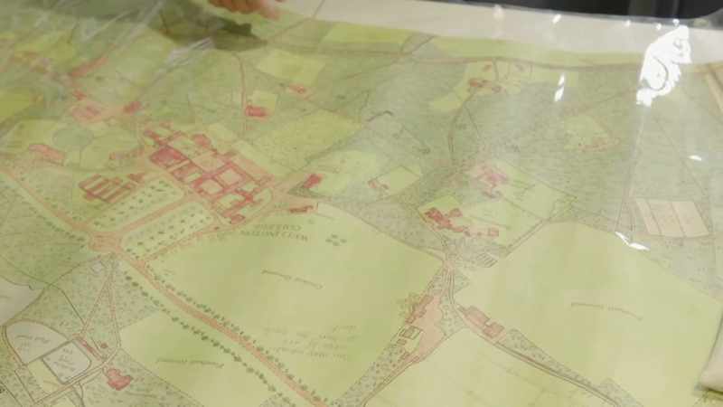 Wellington's incredible archive
