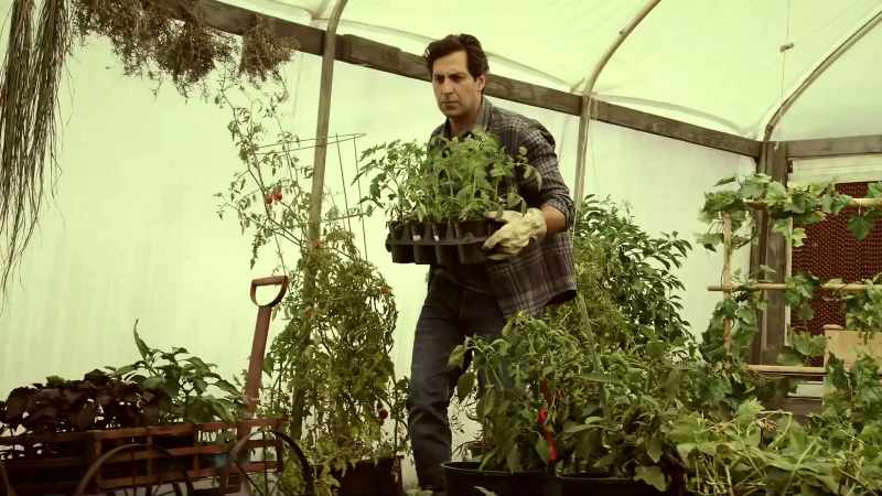 Wendell would never plant them side by side