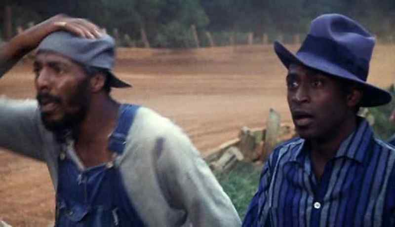 Wendell's gone up and over the bank!