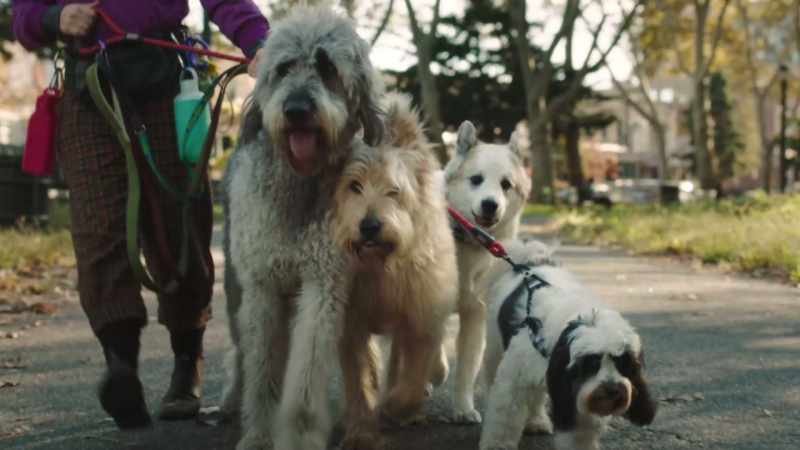 We're about to run up on some prime squirrel territory