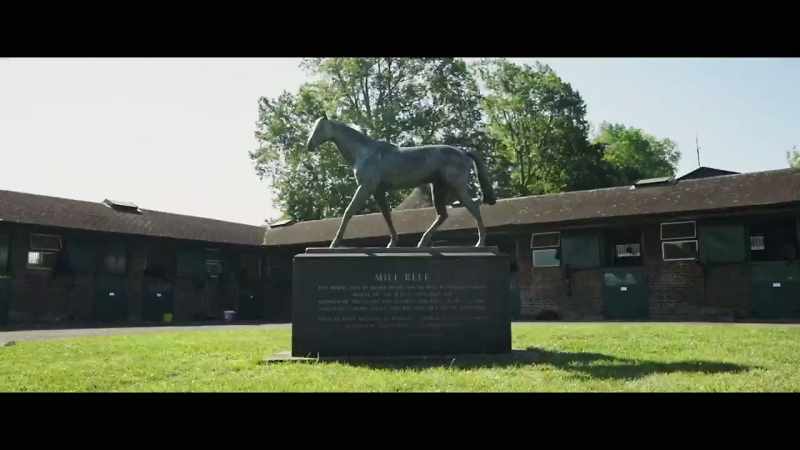 We're always looking for the next Mill Reef