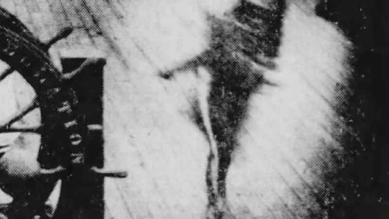 Were we confronted by the same dark entity