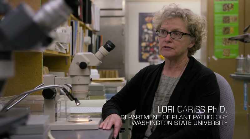We're discovering new species on a daily basis