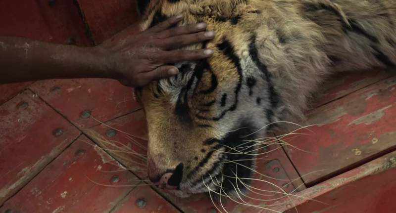 We're dying Richard Parker