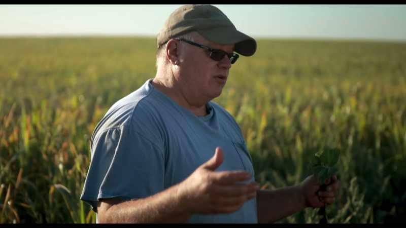 We're feeding the soil biology