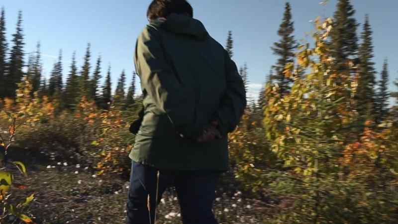 WE'RE GOING TO THE OLD CABIN