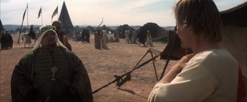 Were he to cover an Arab mare