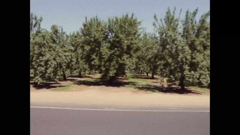 We're in the middle of the orchards and fields