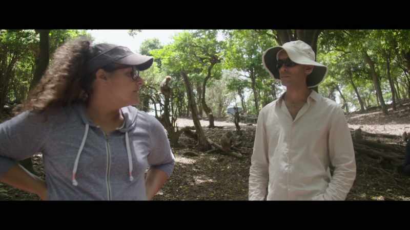 We're interested in whether the monkeys know
