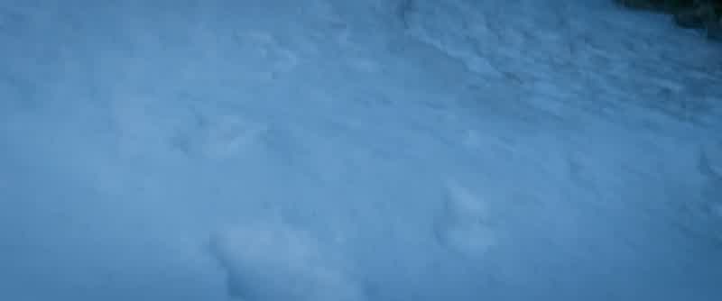 We're leaving a trail