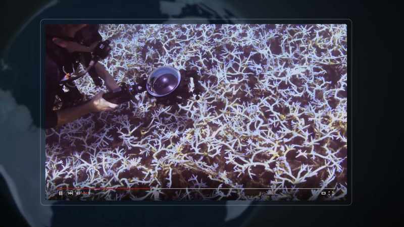 We're looking for people who have access to a local reef